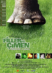 filler-ve-cimen-poster-2000